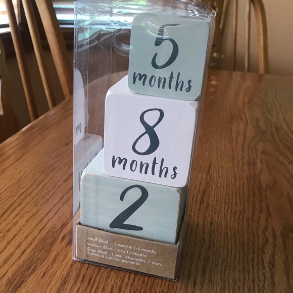 Mud Pie Milestone Announcement Blocks - Picture 2 of 5